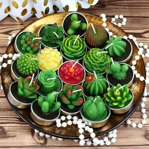 Scented Succulent Cactus Tealight Candles, 6pk NIP